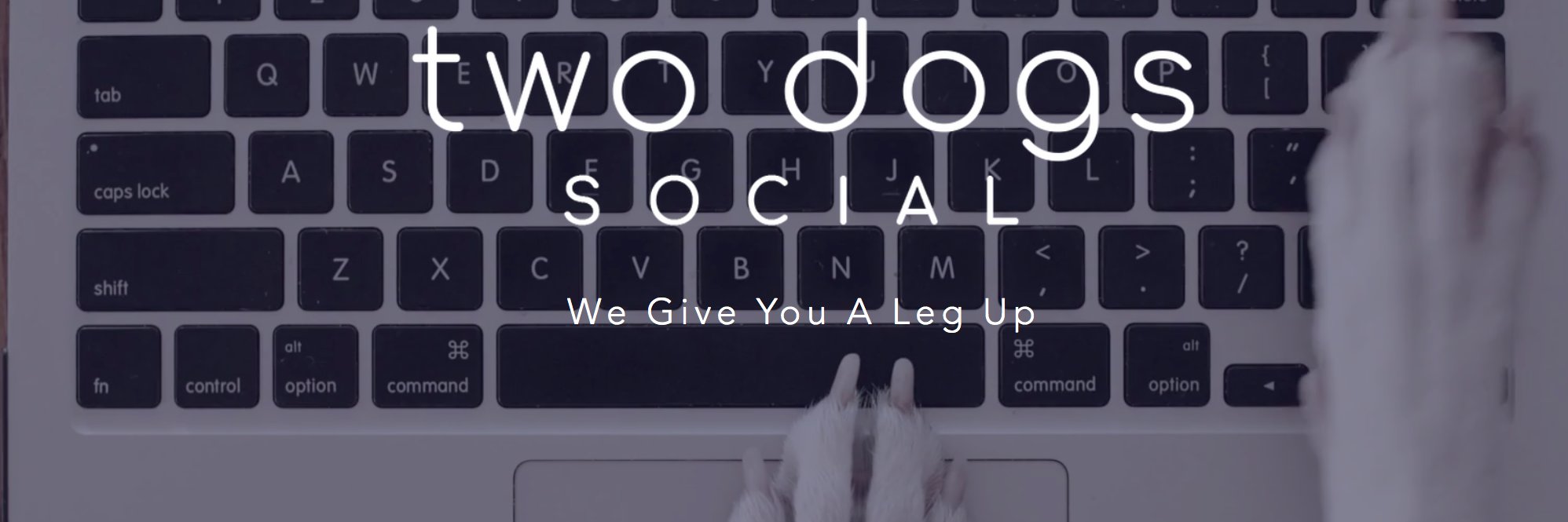 D. Bruce Johnston banner