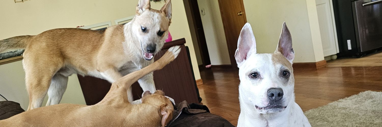 EMSDoucheNozzle's profile banner image