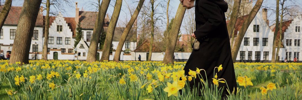 Janis_Inbruges's profile banner image