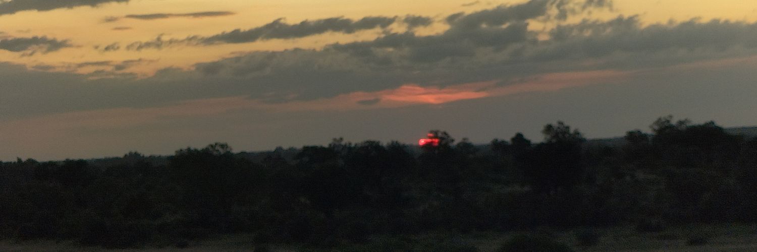hancigitur's profile banner image