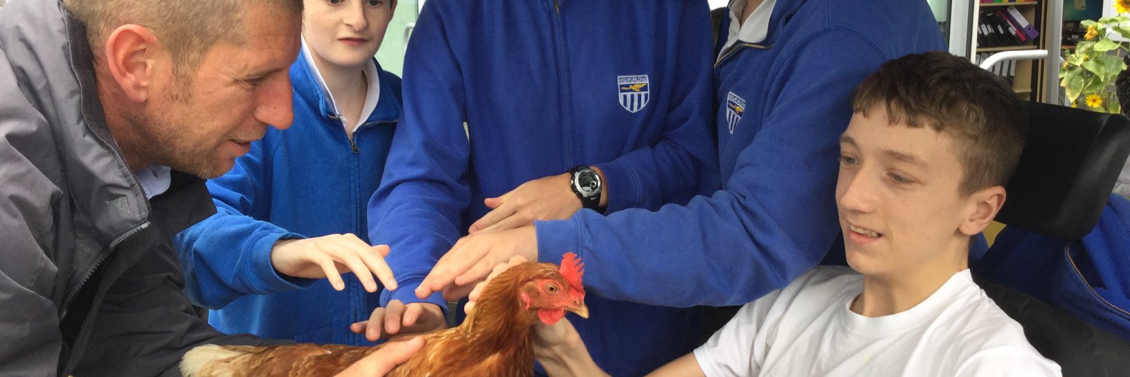 CtryClassrooms's profile banner image