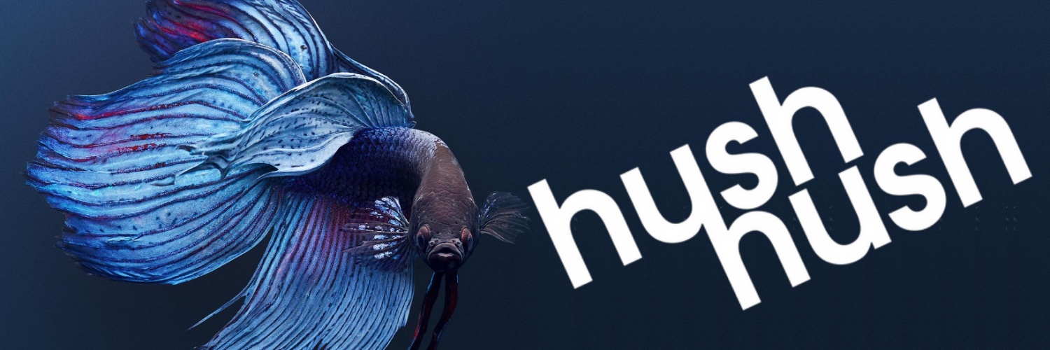 HushHushPromo's profile banner image