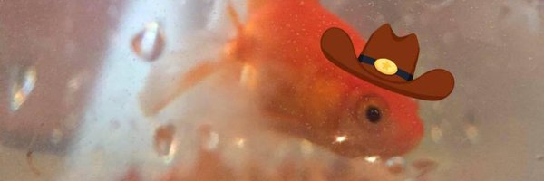 KayliVee Profile Banner