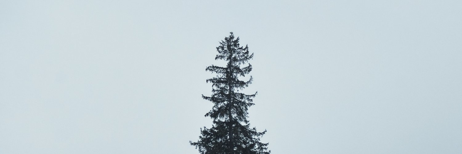 𝙽𝚎𝚕𝚜𝚘𝚗 𝙲. banner