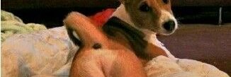 kyefx_'s profile banner image