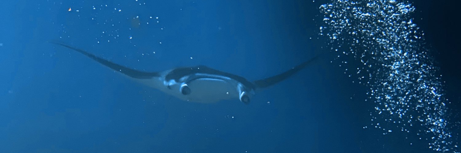 slackattacks's profile banner image