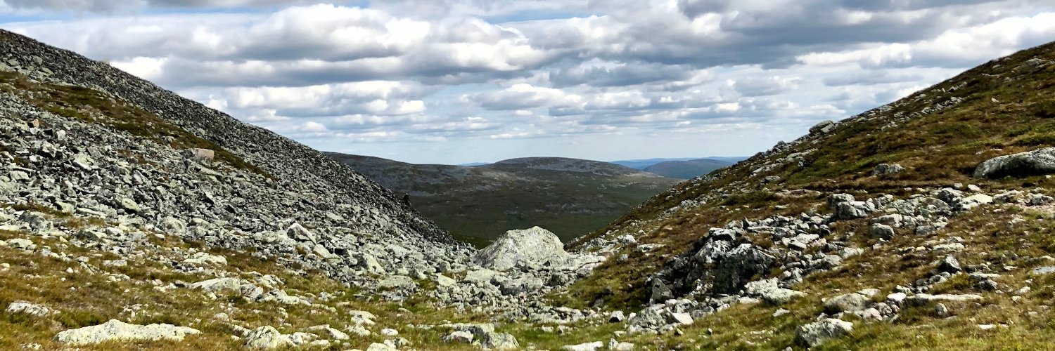 mikkohed's profile banner image