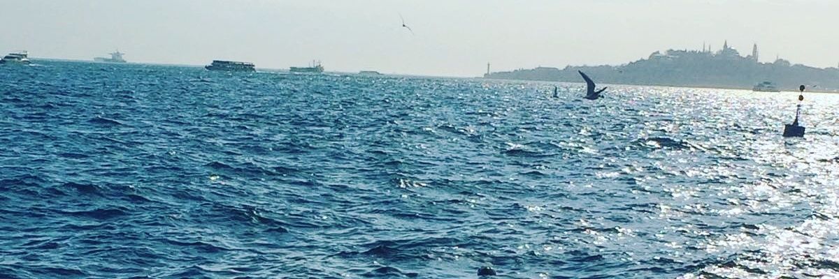 re88flower's profile banner image