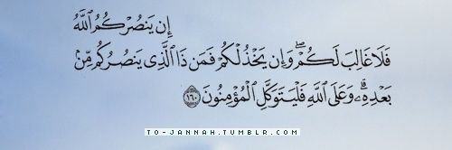 alshamiry11's profile banner image