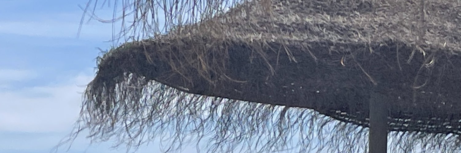 tlespiga's profile banner image