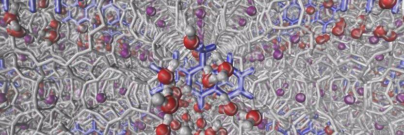 Molecular Dreams banner