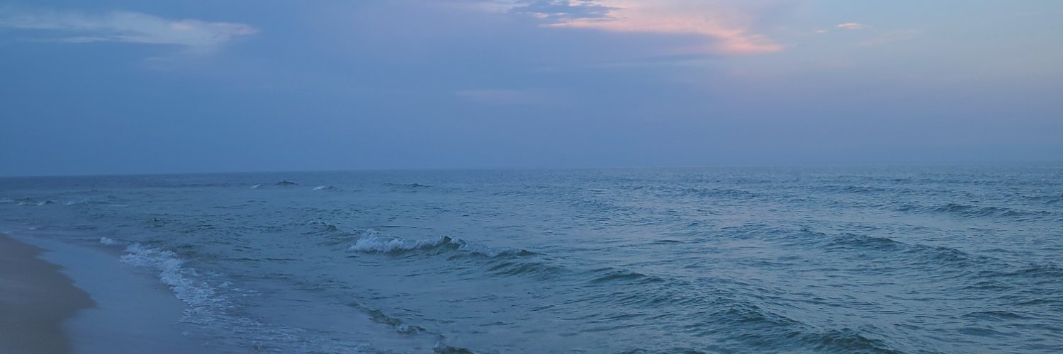 dslaydon's profile banner image