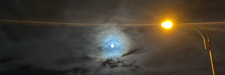 thisismujtaba's profile banner image