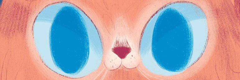 MOLLYLITTLE's profile banner image