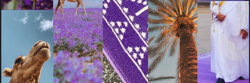 The Saudi Society at Imperial College London banner