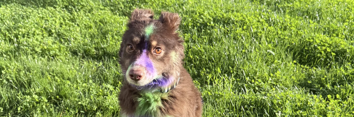 tropical waves 🏳️‍🌈 banner