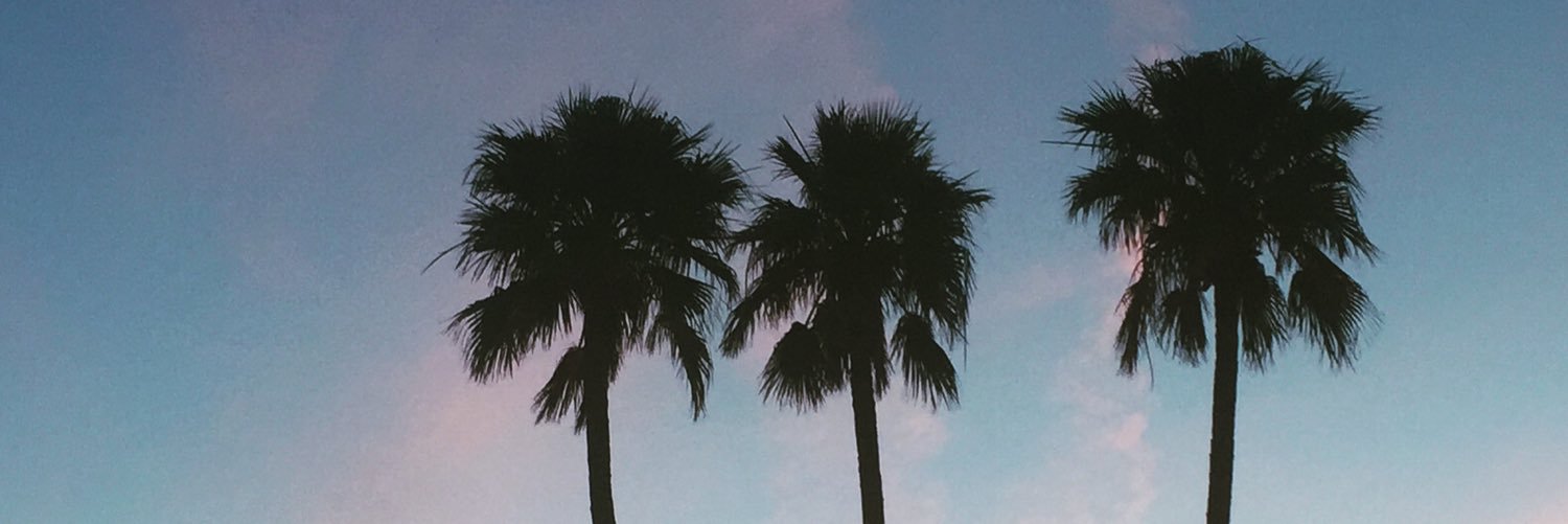 L_Strombergsson's profile banner image