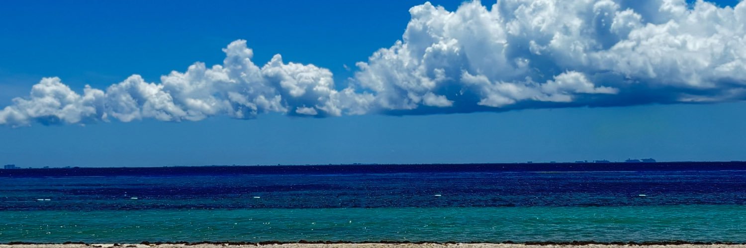HarumiCampillo's profile banner image