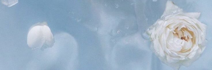 sweetmn's profile banner image