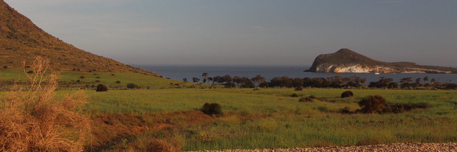 Alejandro Mena banner