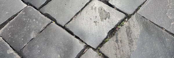 shosha16 Profile Banner