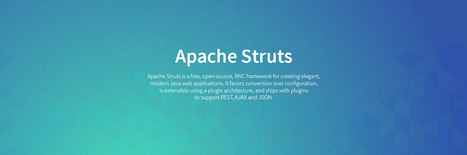 Apache Struts Profile Banner