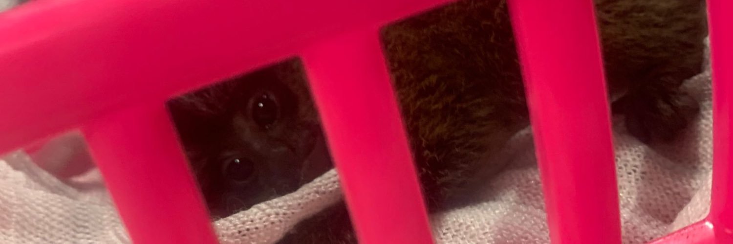 kethMotta's profile banner image