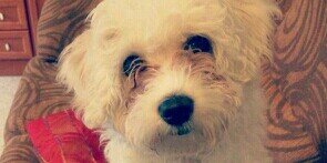 maritrini91's profile banner image