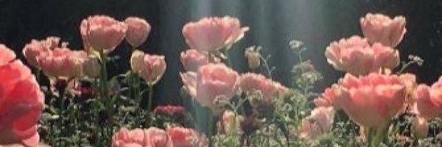 _endless_blue__'s profile banner image