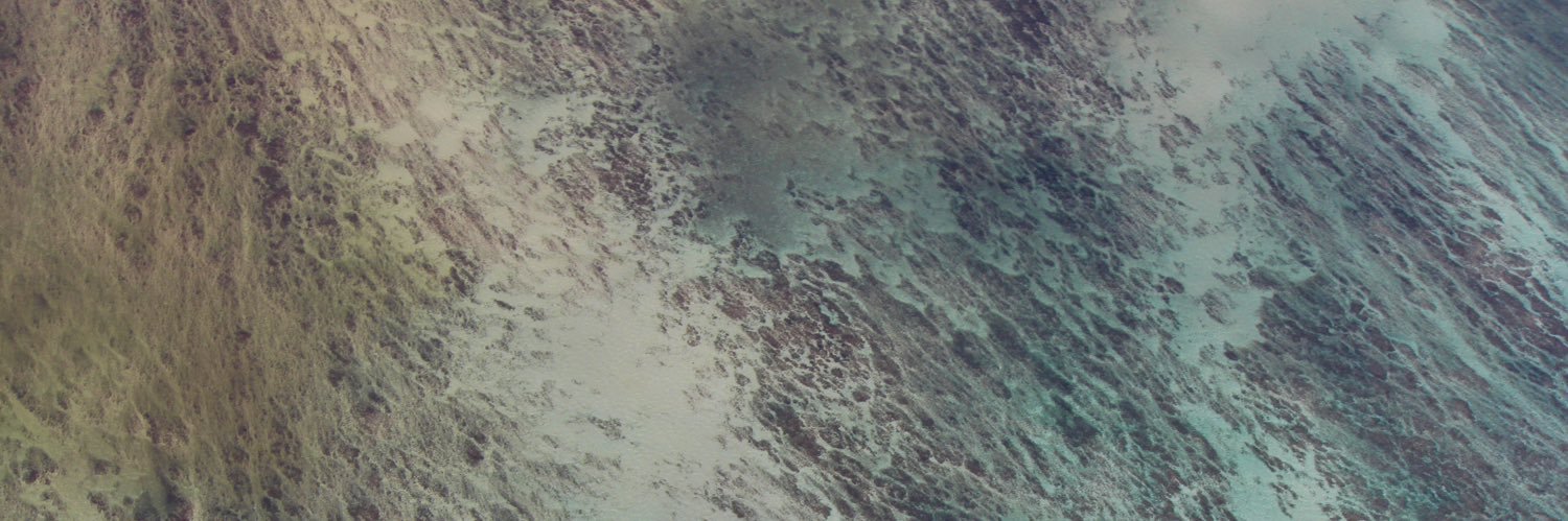 aviatorsman's profile banner image