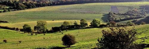 Hertfordshire Info banner