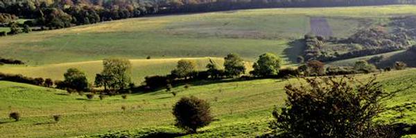 herts_info Profile Banner