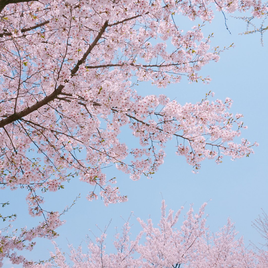 annjuw's profile banner image