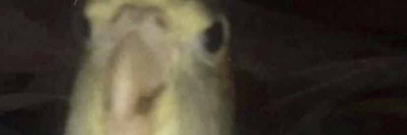 Proto_Ex's profile banner image
