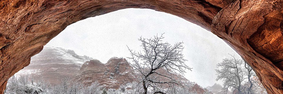 Johnny Powers banner