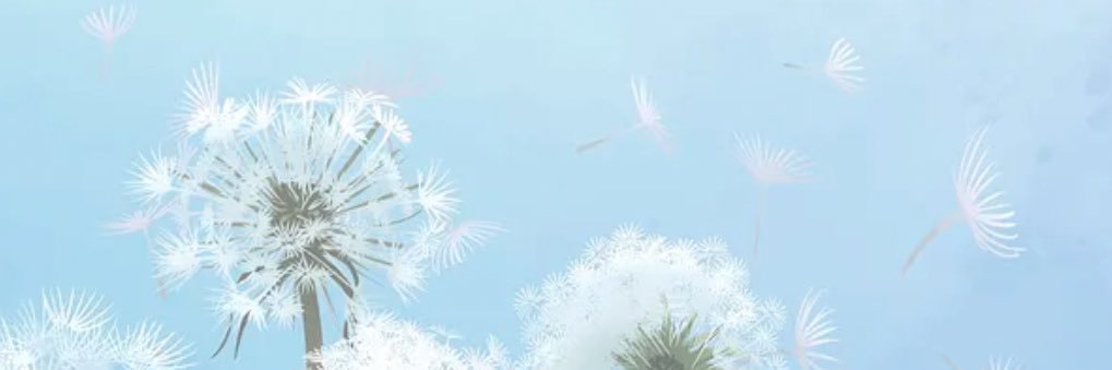 rayarami's profile banner image