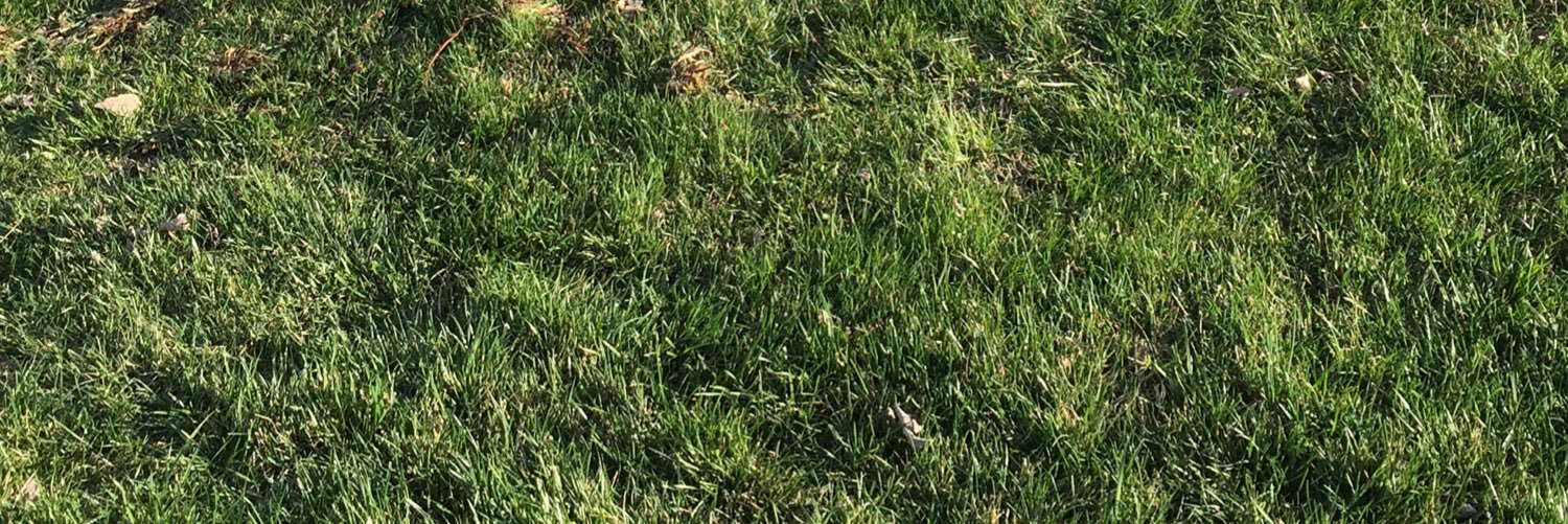 elijah6vfl's profile banner image