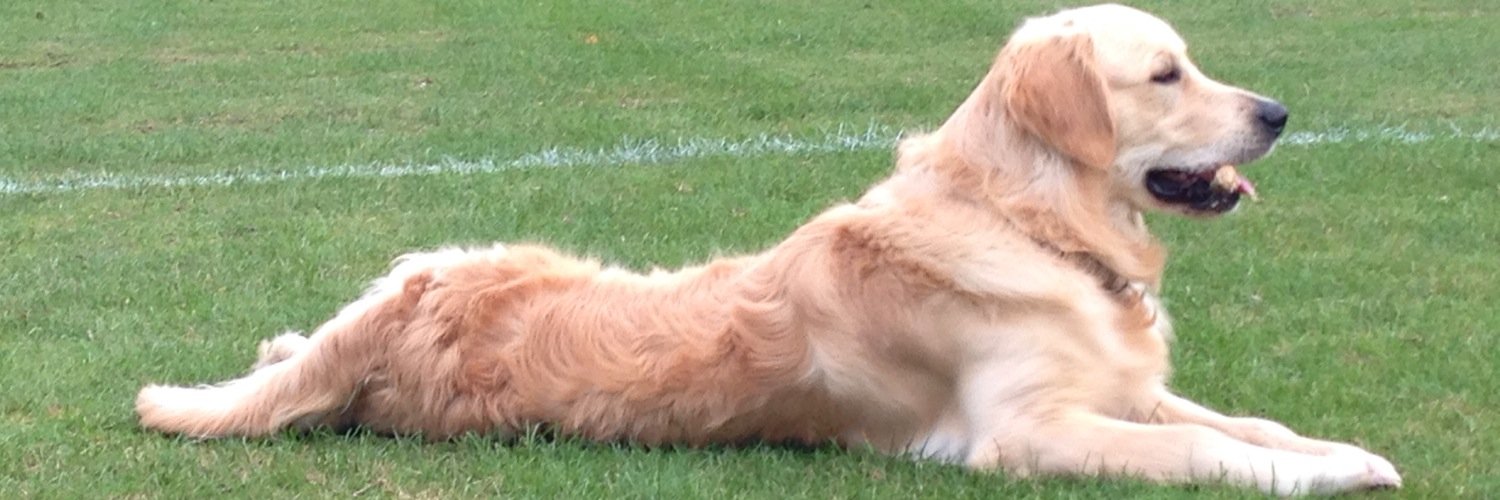 mattjcass's profile banner image