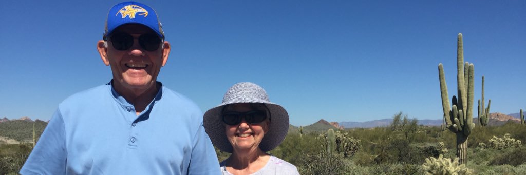 judy_igm's profile banner image