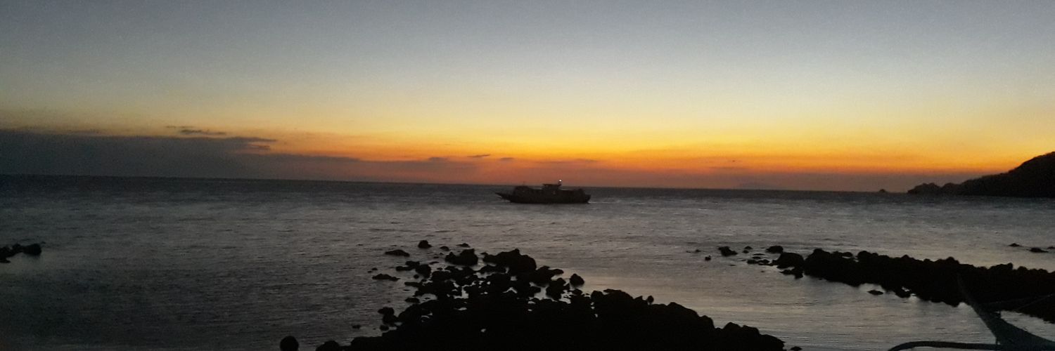 vkylejolo's profile banner image