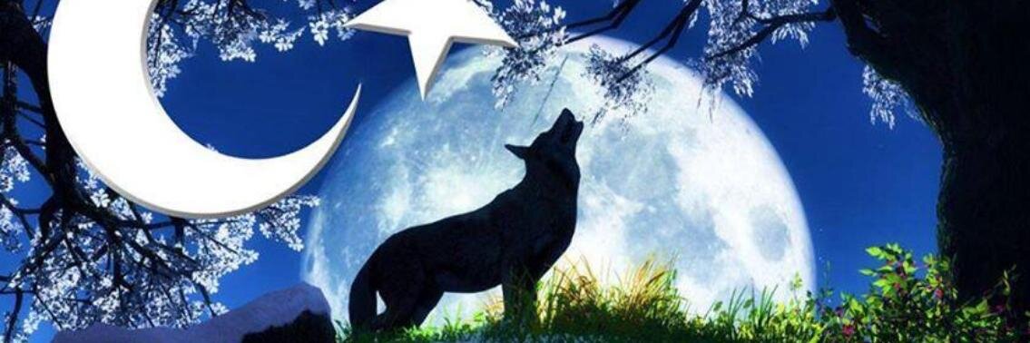 ysyaman55's profile banner image
