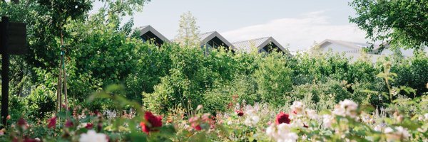 comfortzoneuk Profile Banner