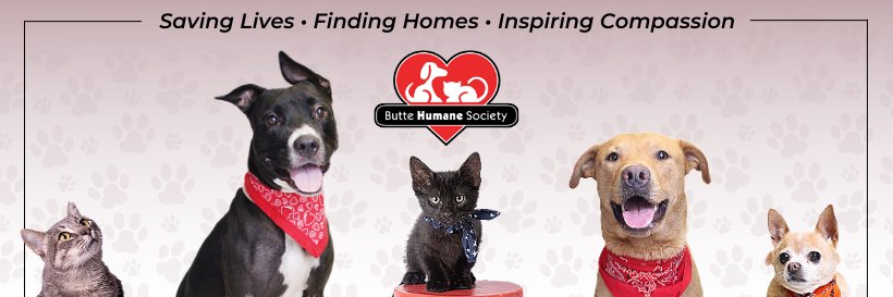 buttehumane's profile banner image
