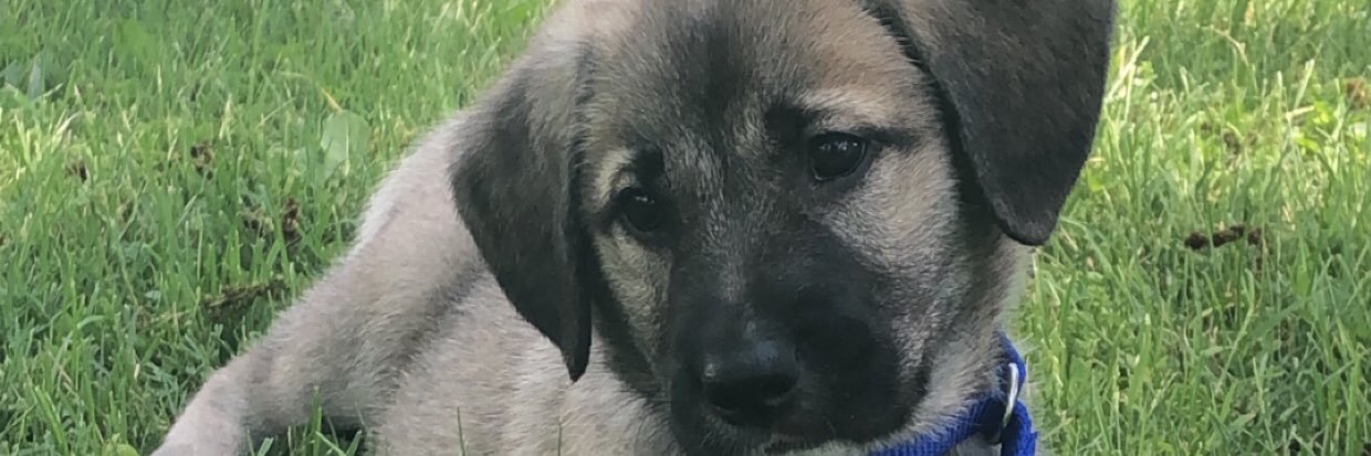 Rdaugherty33's profile banner image