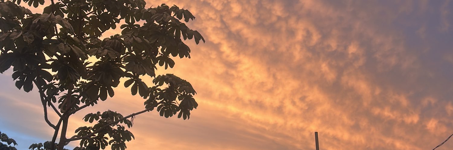 - 𝓐 𝓛 . 🍃🕊️ banner
