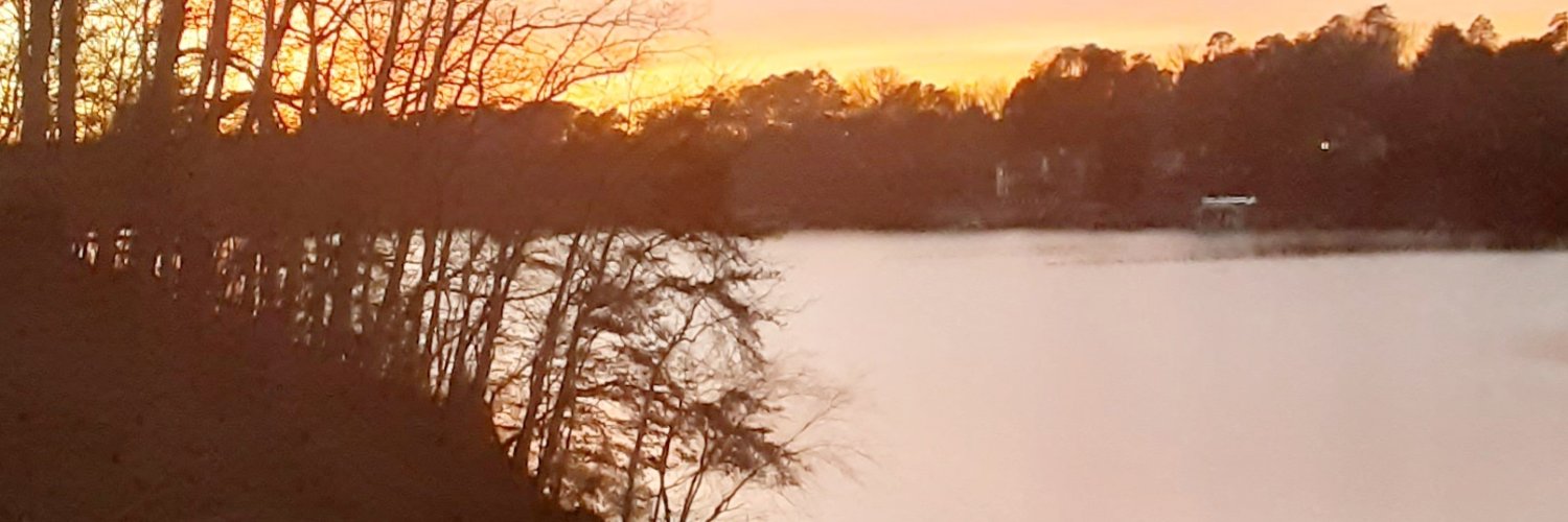 pcronic861's profile banner image