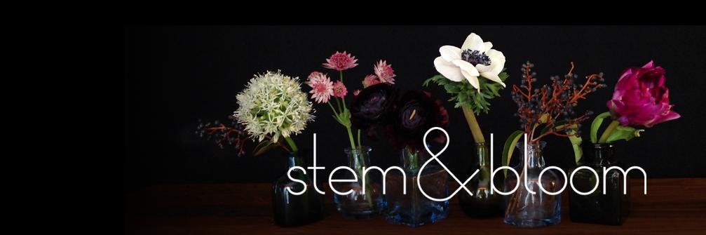 stemandbloom's profile banner image