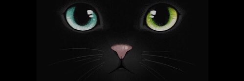 itiingg's profile banner image