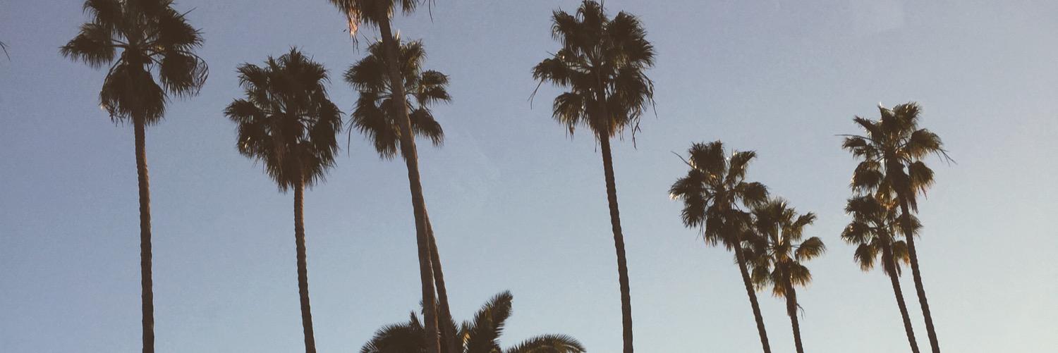 Humblevisions's profile banner image