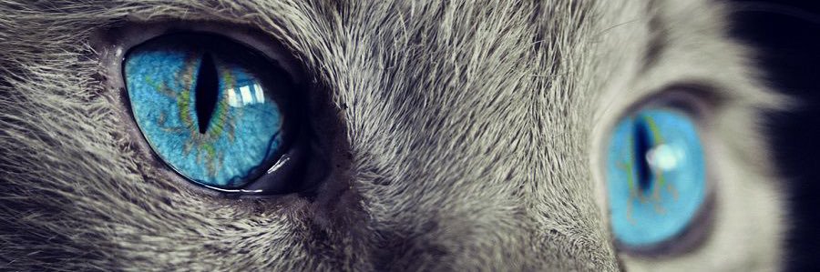GATA banner
